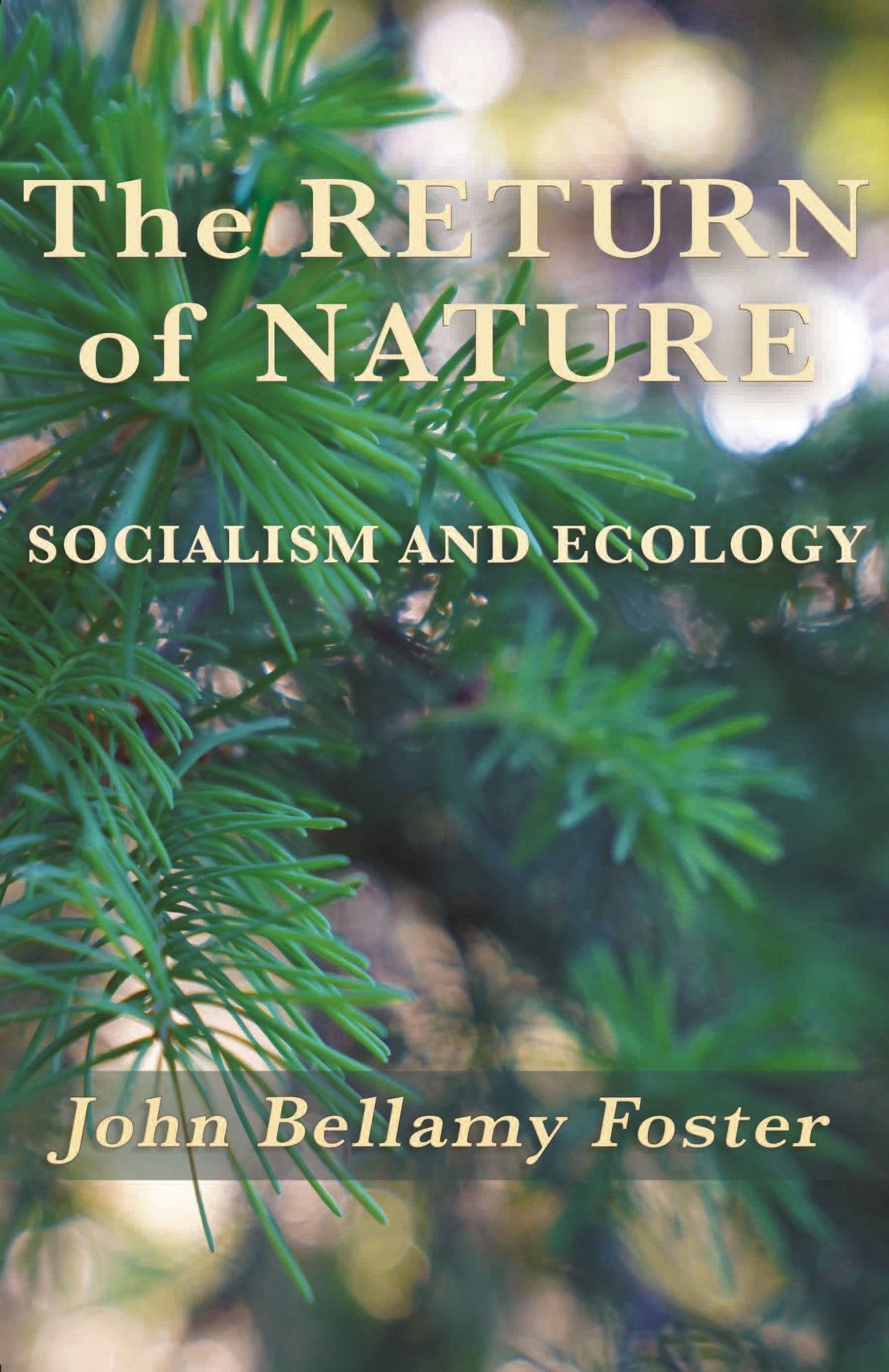 Cover image for The Return of Nature ISBN 9781583678374
